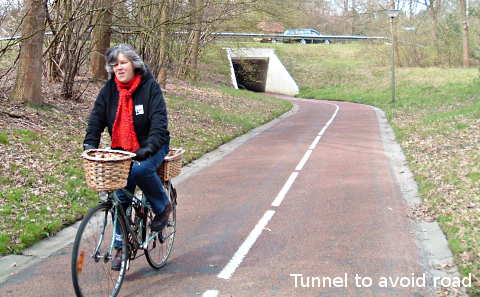 Tunnel to avoid crossing main road